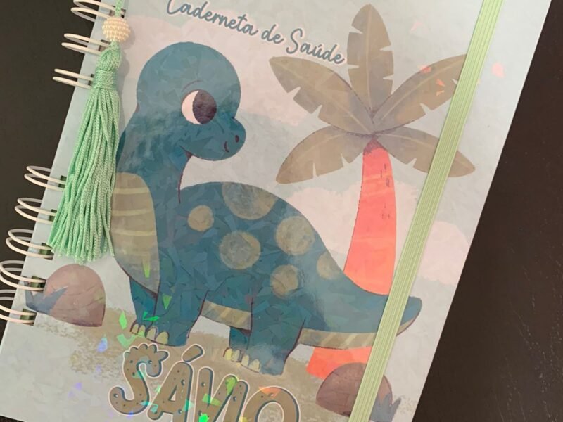 Topos de Bolos, Caixinhas Personalizadas, Caderneta de Saúde